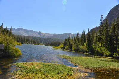 DSC_7816 (Large).JPG